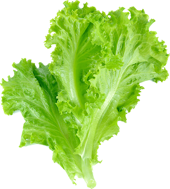 Image Not Found